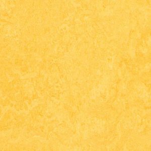 Forbo Marmoleum Click 333251 lemon zest